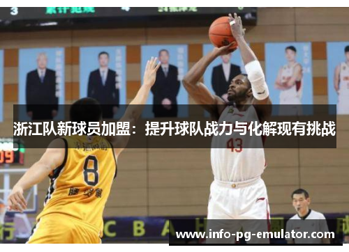 浙江队新球员加盟：提升球队战力与化解现有挑战
