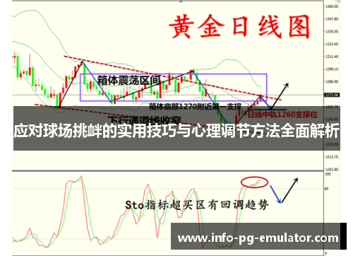 应对球场挑衅的实用技巧与心理调节方法全面解析