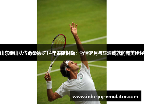 山东泰山队传奇桑德罗14年奉献揭晓:激情岁月与辉煌成就的完美诠释 山东泰山队传奇桑德罗14年奉献揭晓:激情岁月与辉煌成就的完美诠释