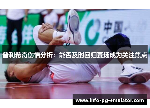普利希奇伤情分析：能否及时回归赛场成为关注焦点