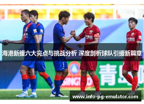 海港新援六大亮点与挑战分析 深度剖析球队引援新篇章