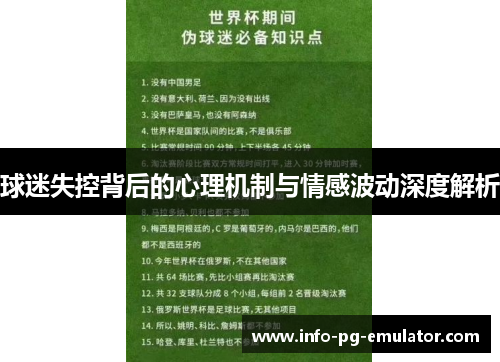 球迷失控背后的心理机制与情感波动深度解析 球迷失控背后的心理机制与情感波动深度解析