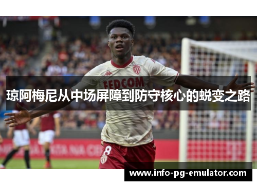 琼阿梅尼从中场屏障到防守核心的蜕变之路 琼阿梅尼从中场屏障到防守核心的蜕变之路