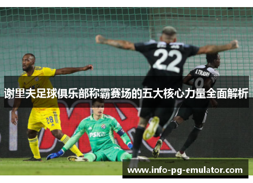 谢里夫足球俱乐部称霸赛场的五大核心力量全面解析 谢里夫足球俱乐部称霸赛场的五大核心力量全面解析