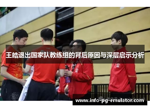 王皓退出国家队教练组的背后原因与深层启示分析