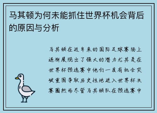 马其顿为何未能抓住世界杯机会背后的原因与分析